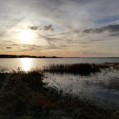 Estland2019Titel
