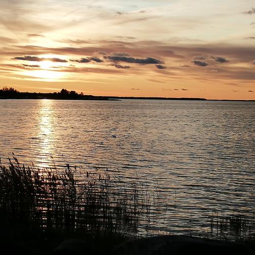 Estland2019Titel