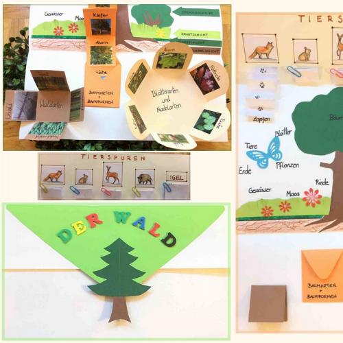 Lapbook 1