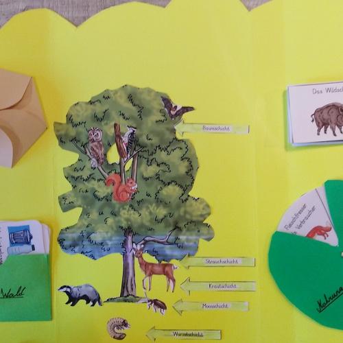 Lapbook 4