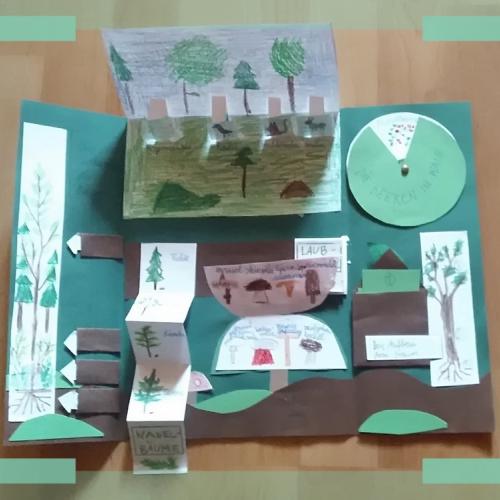 Lapbook 3