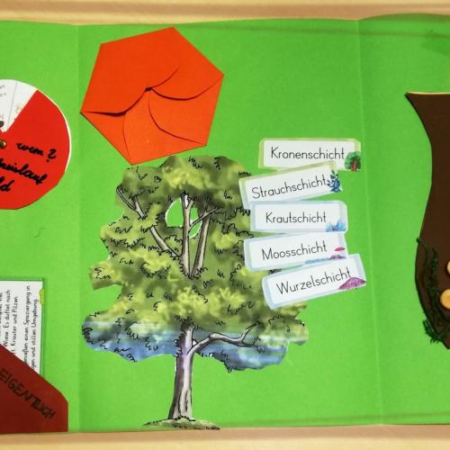 Lapbook 5