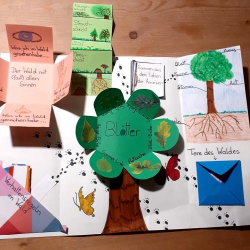 Lapbook 6