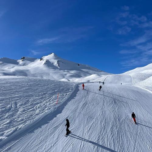 Ski