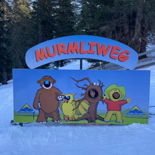 Ski