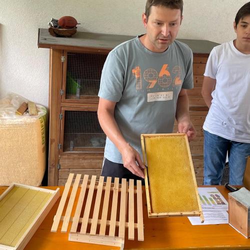 Bienenstock