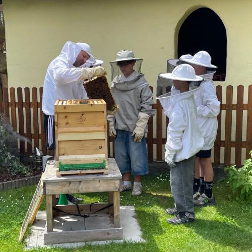 Beim Bienenstock