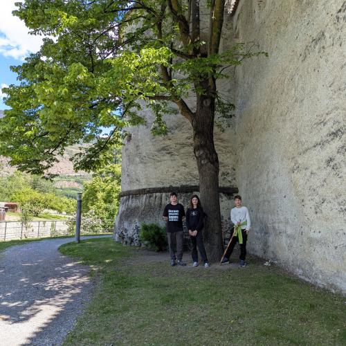Kinder vor der Stadtmauer Glurns