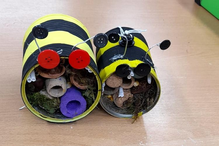 insekten2
