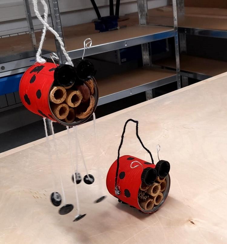 insekten4