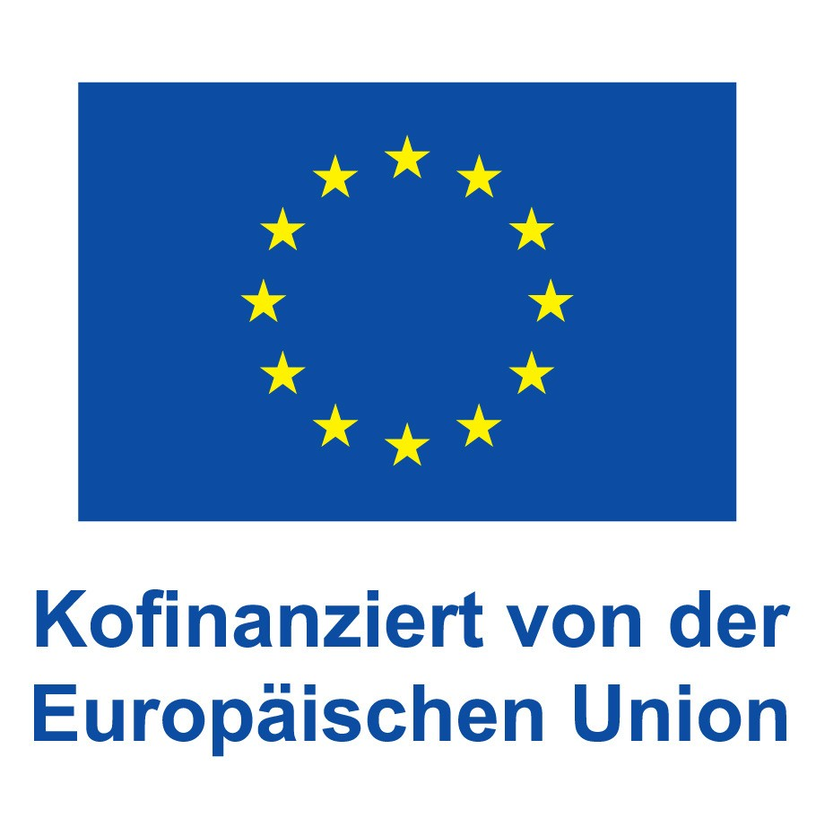 Erasmus + Logo 2022 Kofinanziert