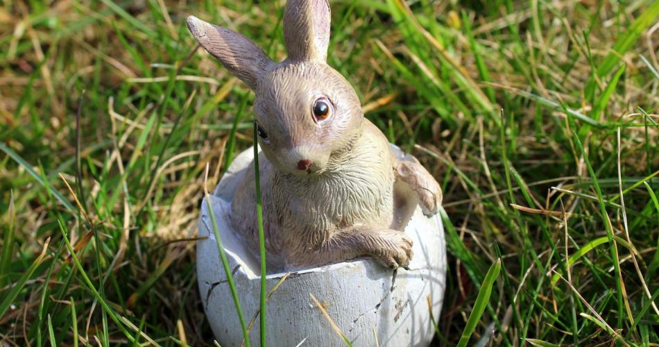Hase im Grünen