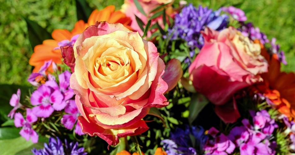 blumen