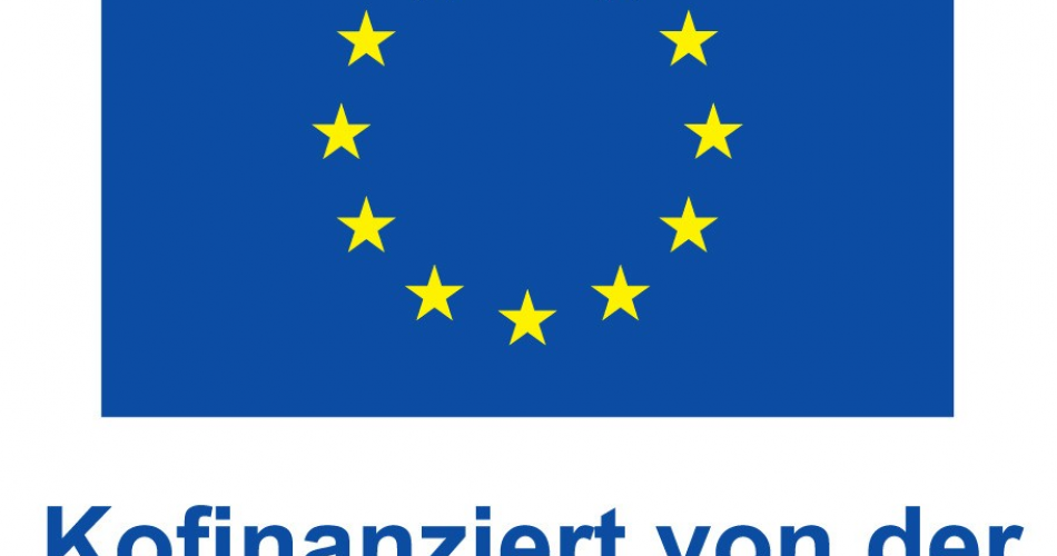 Erasmus + Logo 2022 Kofinanziert